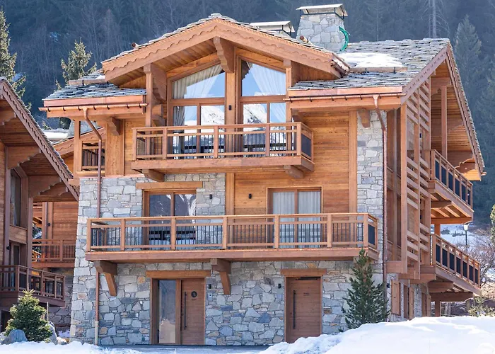 De Luxe Avec Espace Detente A Le Praz, Proche Des Pistes Et Commodites - Fr-1-568-42 Courchevel